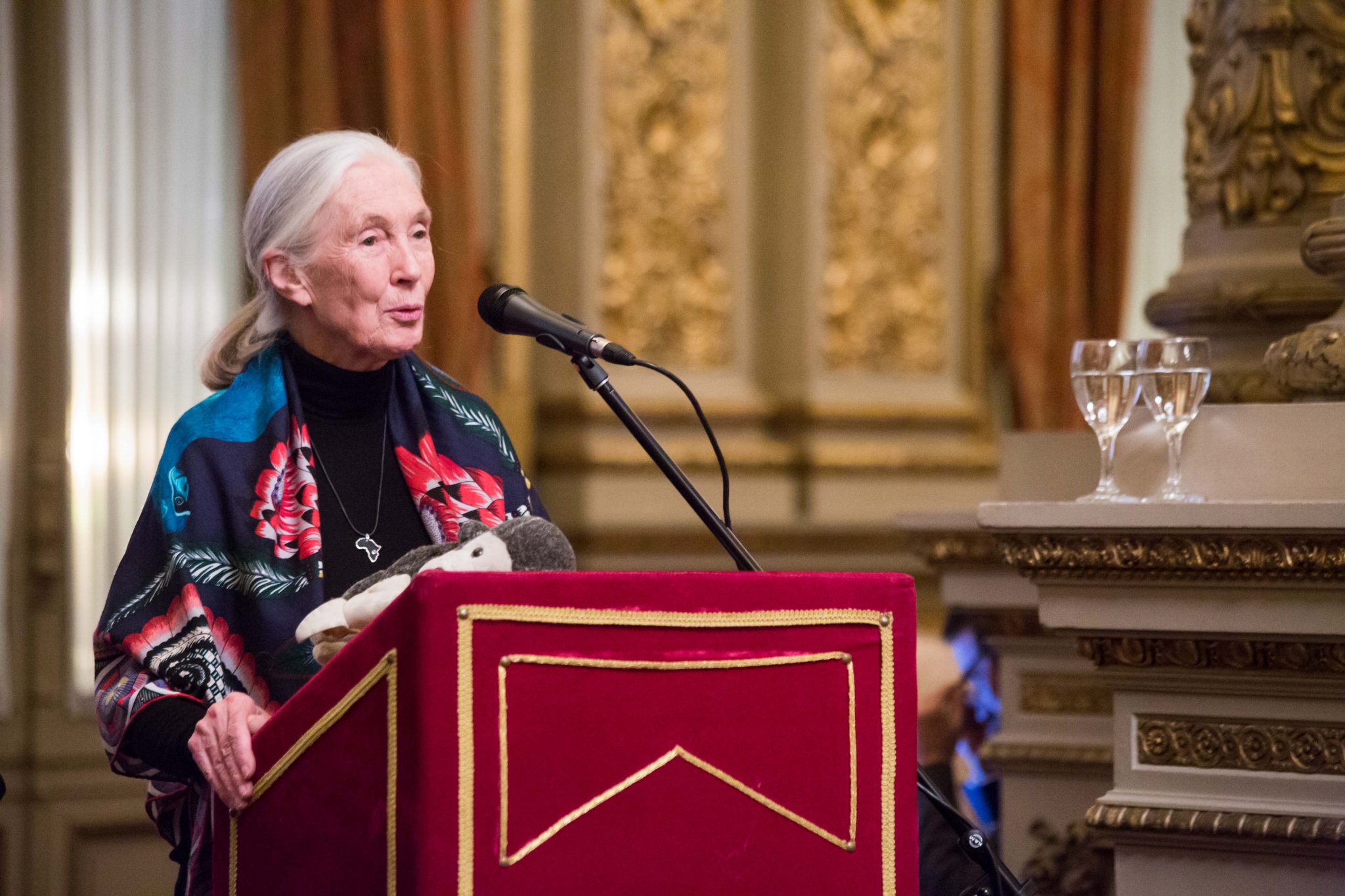 Instituto Jane Goodall